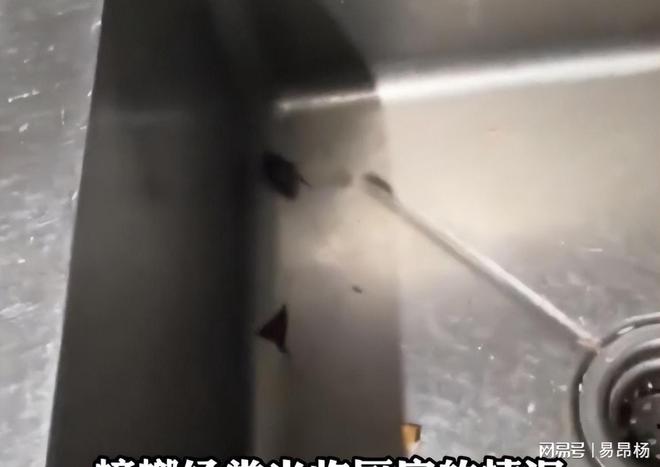 、运营手撕女老板后厨蟑螂老鼠满天飞新葡京娱乐长沙全女酒吧又爆雷：后厨(图2)