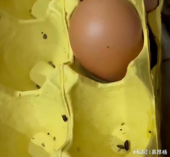 、运营手撕女老板后厨蟑螂老鼠满天飞新葡京娱乐长沙全女酒吧又爆雷：后厨(图10)